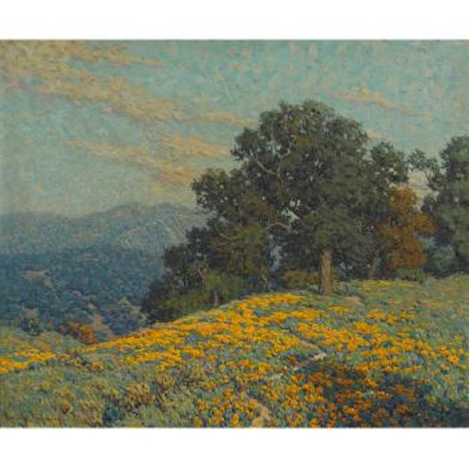 Annandale wildflowers by Granville Redmond