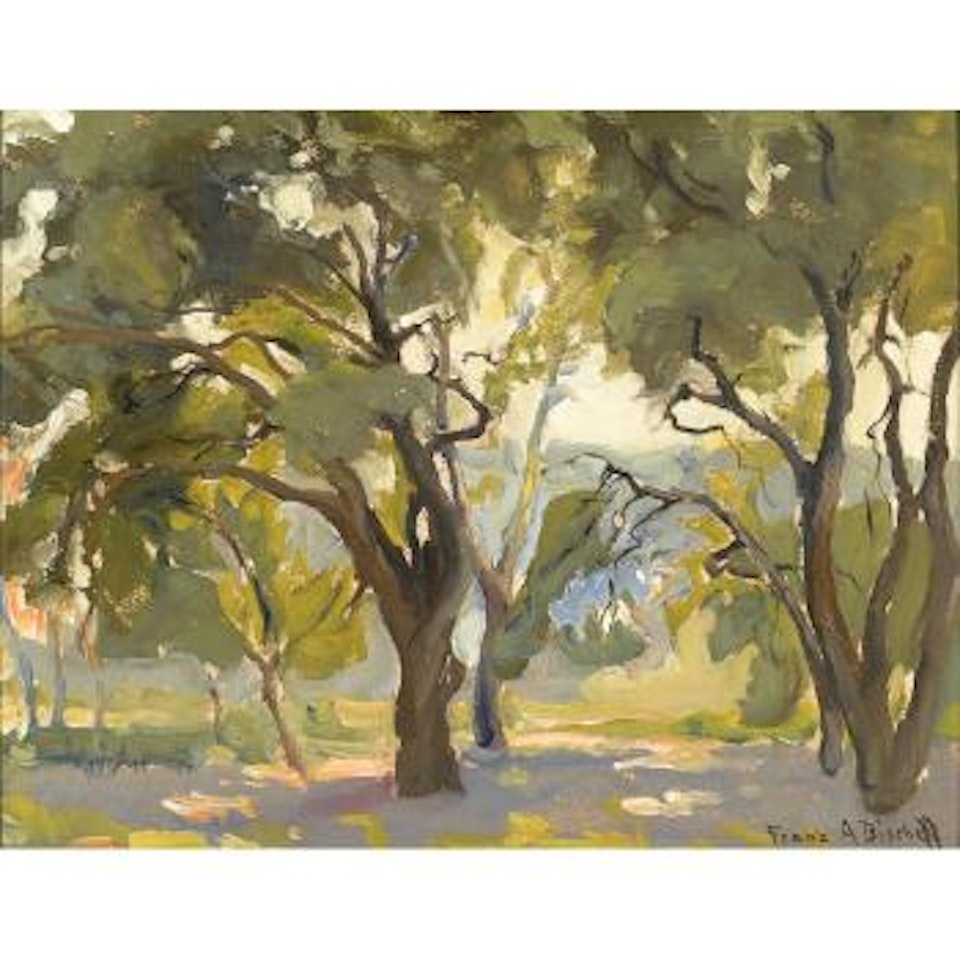 Grove of trees by Franz A Bischoff