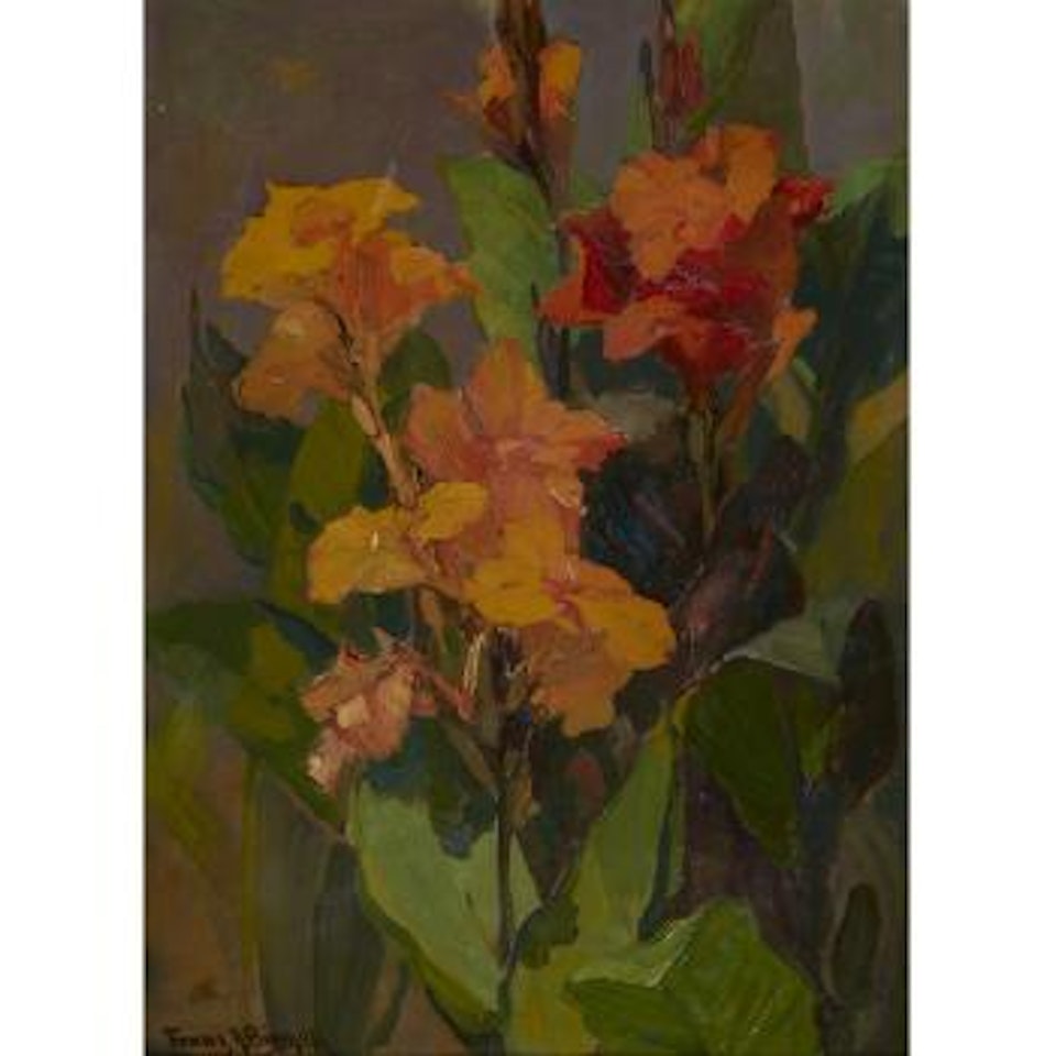 Canna Lilies by Franz A Bischoff
