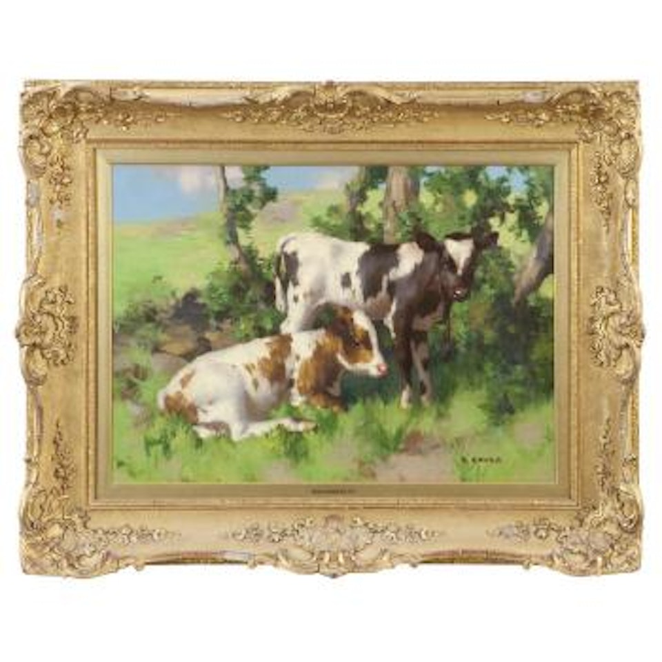 Two calves in shade by David Gauld