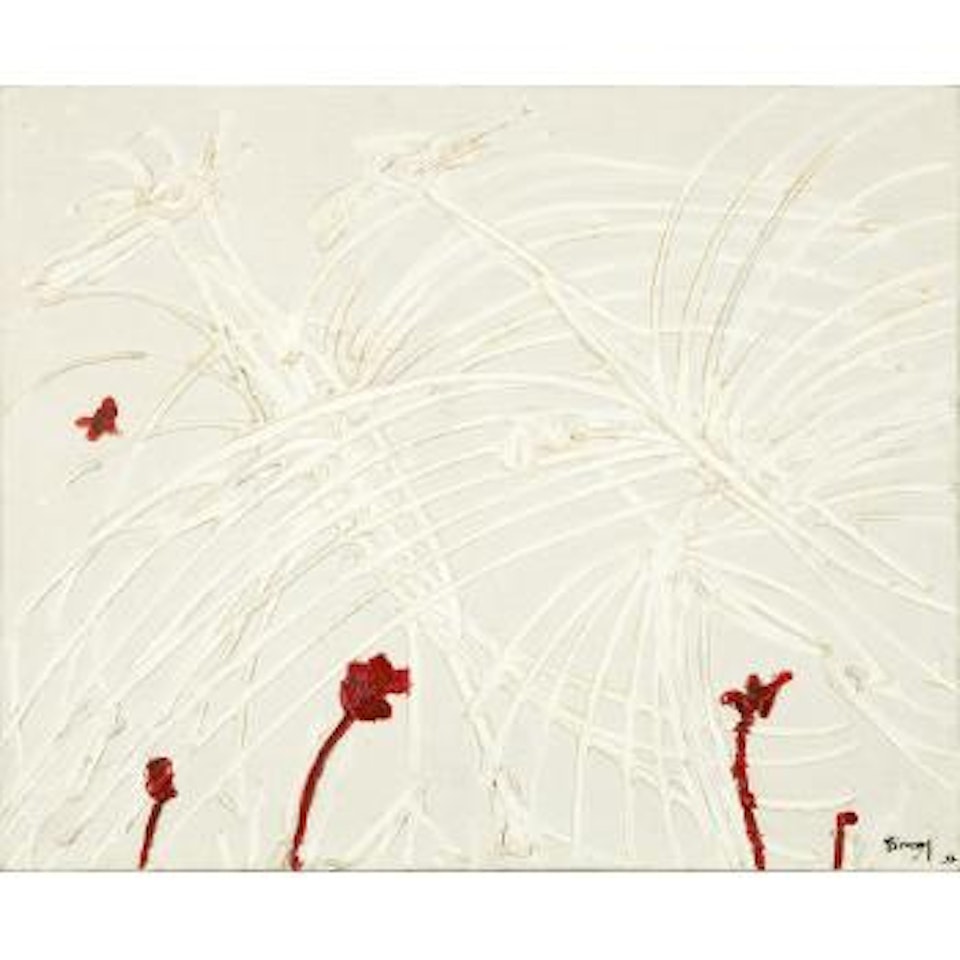 White birds by Thanos Tsingos