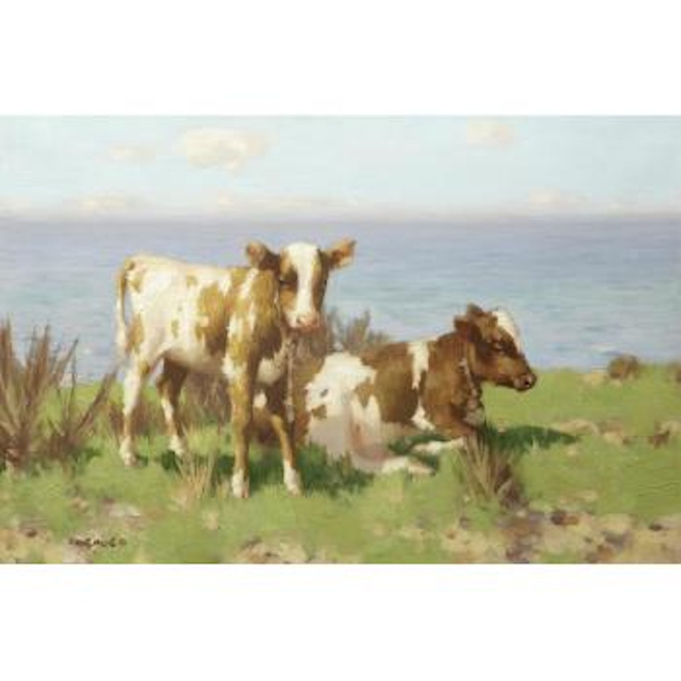 Ayrshire Calves by David Gauld