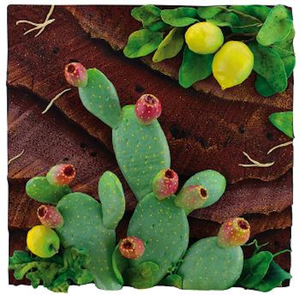 Limoni e cactus by Piero Gilardi