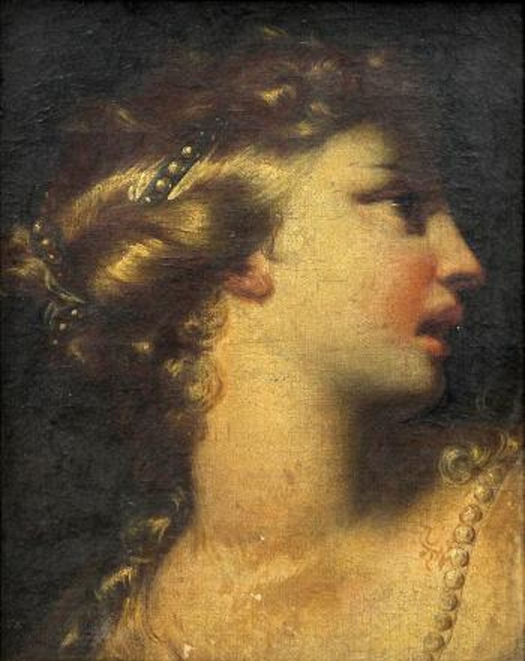 Portrait of a lady by Pietro Liberi