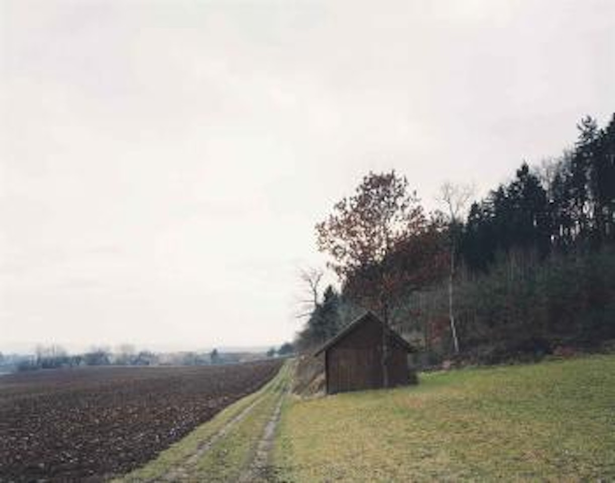 Holzhaus am Waldrand N30, Winterthur 1992 (without Landscape...) by Thomas Struth