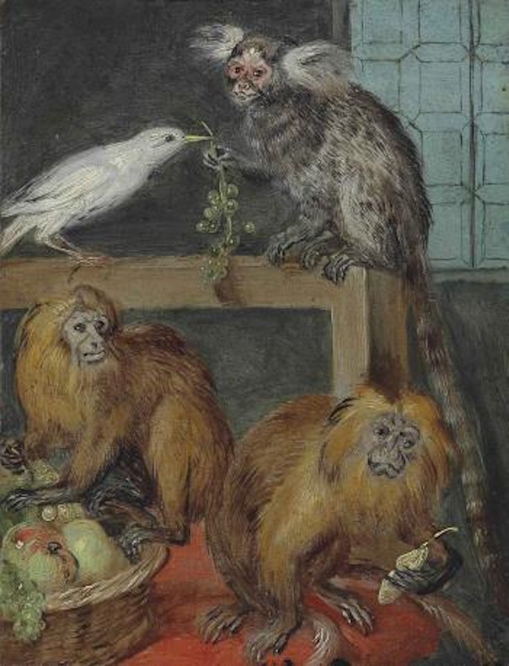 Two orange tamarins with a fruit basket and a ring tailed lemur, with fruit in an interior by Jan Van Kessel The Elder