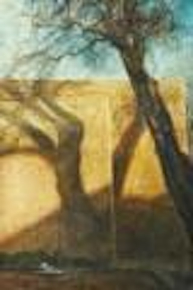 Tree and Adobe Wall by Oh ChiGyun