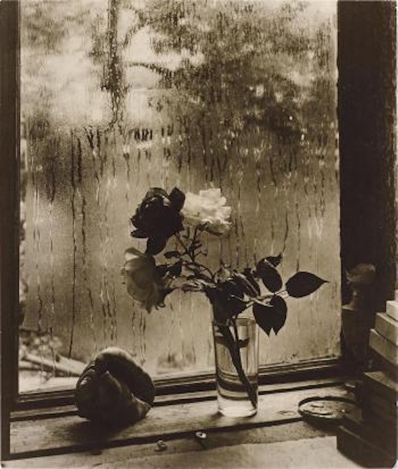 The Last Roses by Josef Sudek