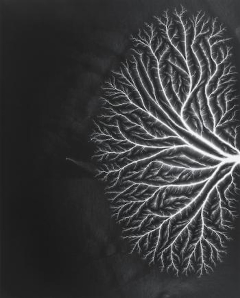 Talbotized 004, 2012 by Hiroshi Sugimoto