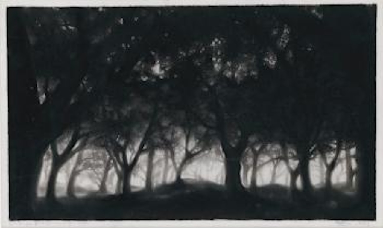 Study for Mid-summer's night forest by Robert Longo