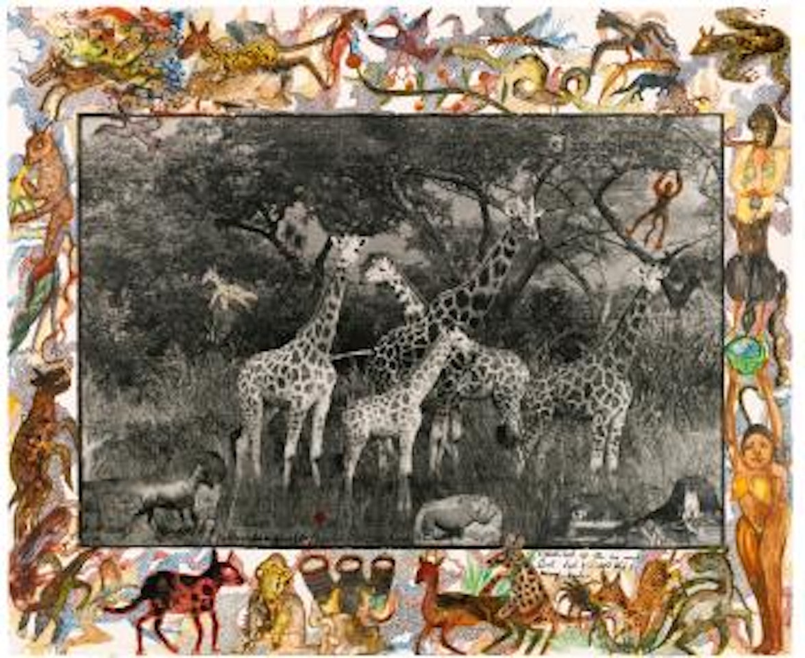Rothschild's Giraffes, 1966/2008 by Peter Beard