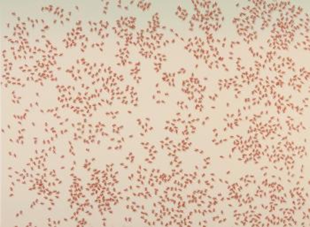 Insects by Ed Ruscha