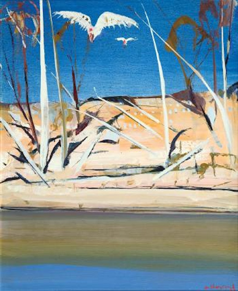 (Shoalhaven landscape) by Arthur Merric Bloomfield Boyd