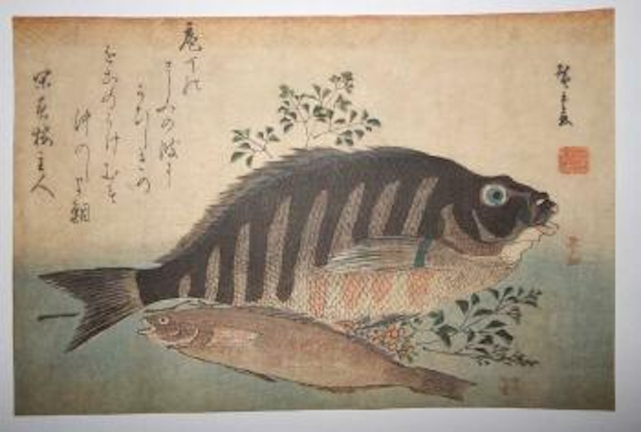Shimadai et Ainame by Utagawa Hiroshige