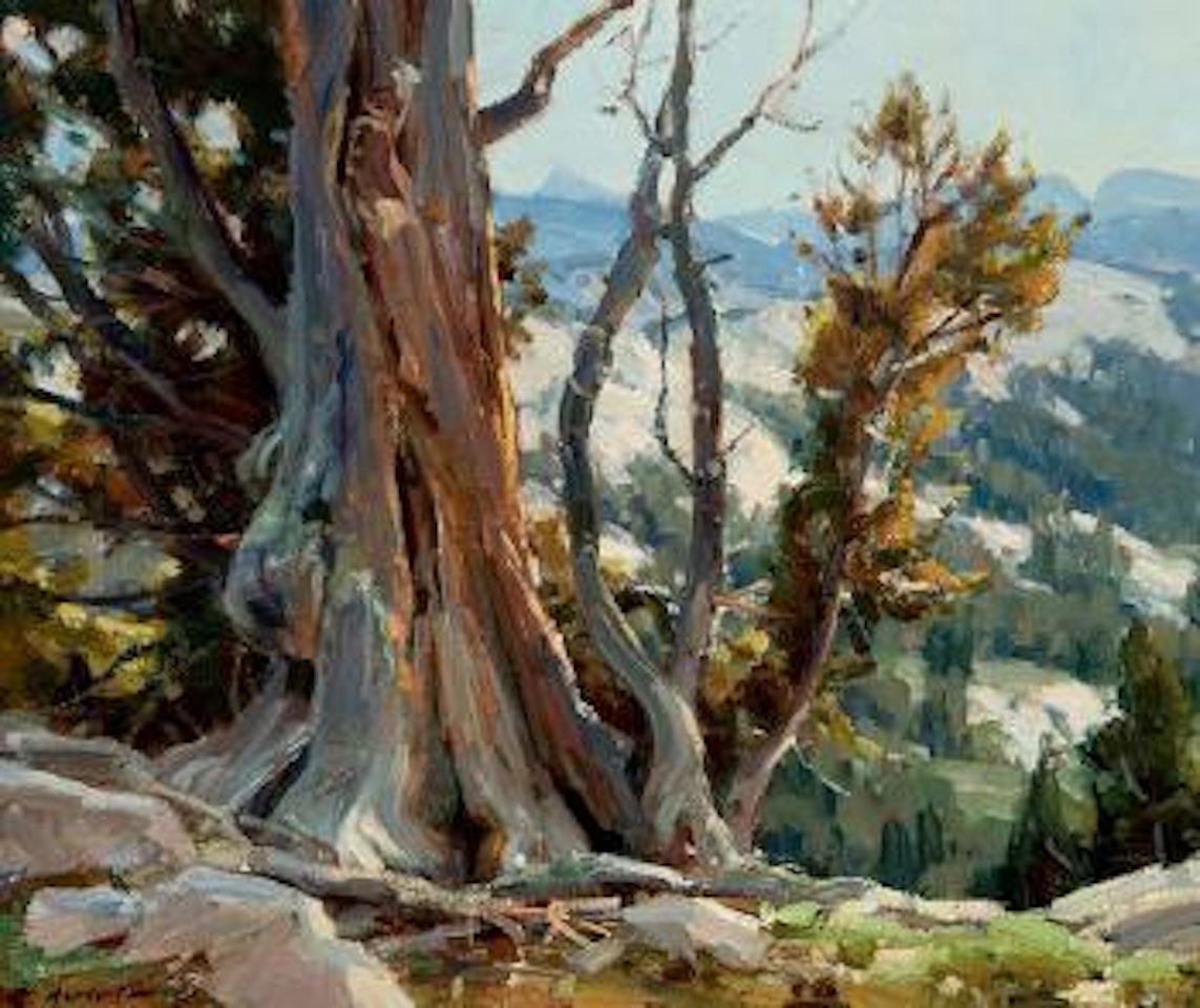 View from Double Top Mountain by Clyde Aspevig