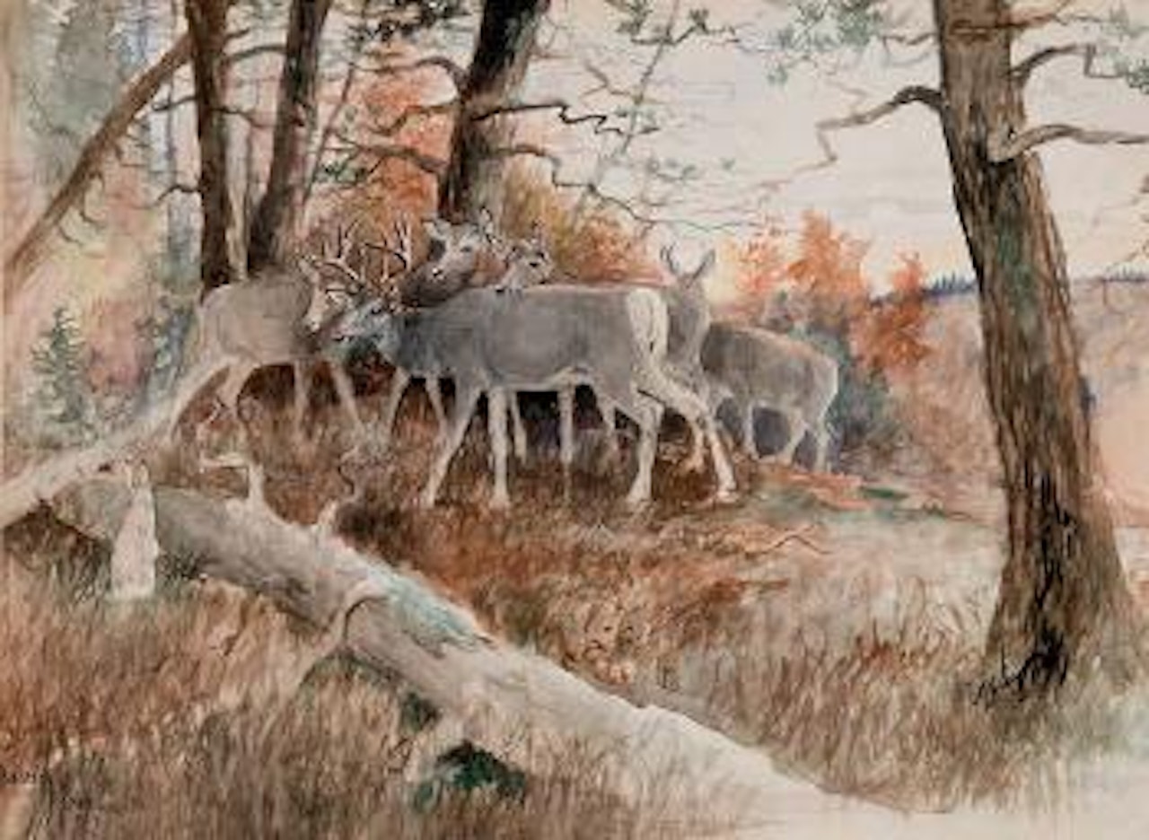 Forest Friends by Charles M Russell