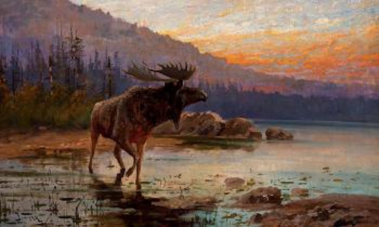 Moose on Jackson Lake by John Fery