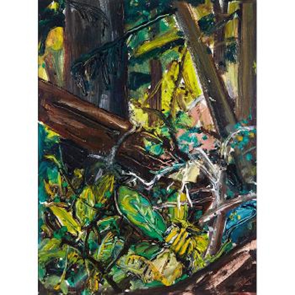 Fallen Trees, Forest, B.C. by Arthur Lismer