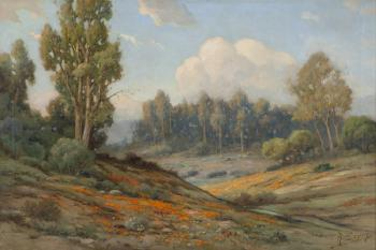 Poppy Landscape by Angel Espoy