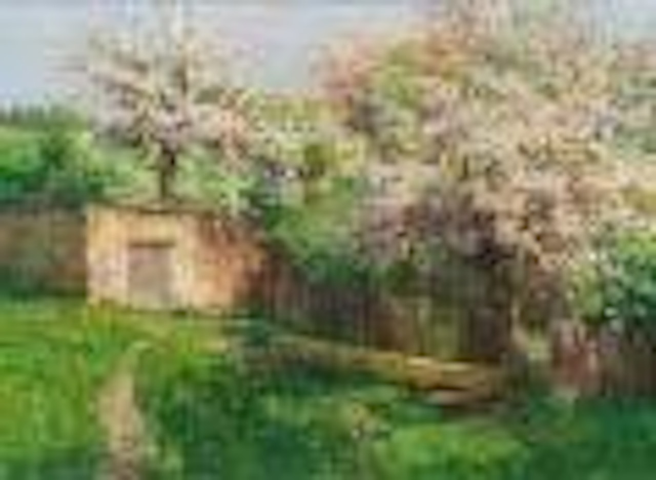 Frühling in Felling bei Gföhl by Olga Wisinger-Florian