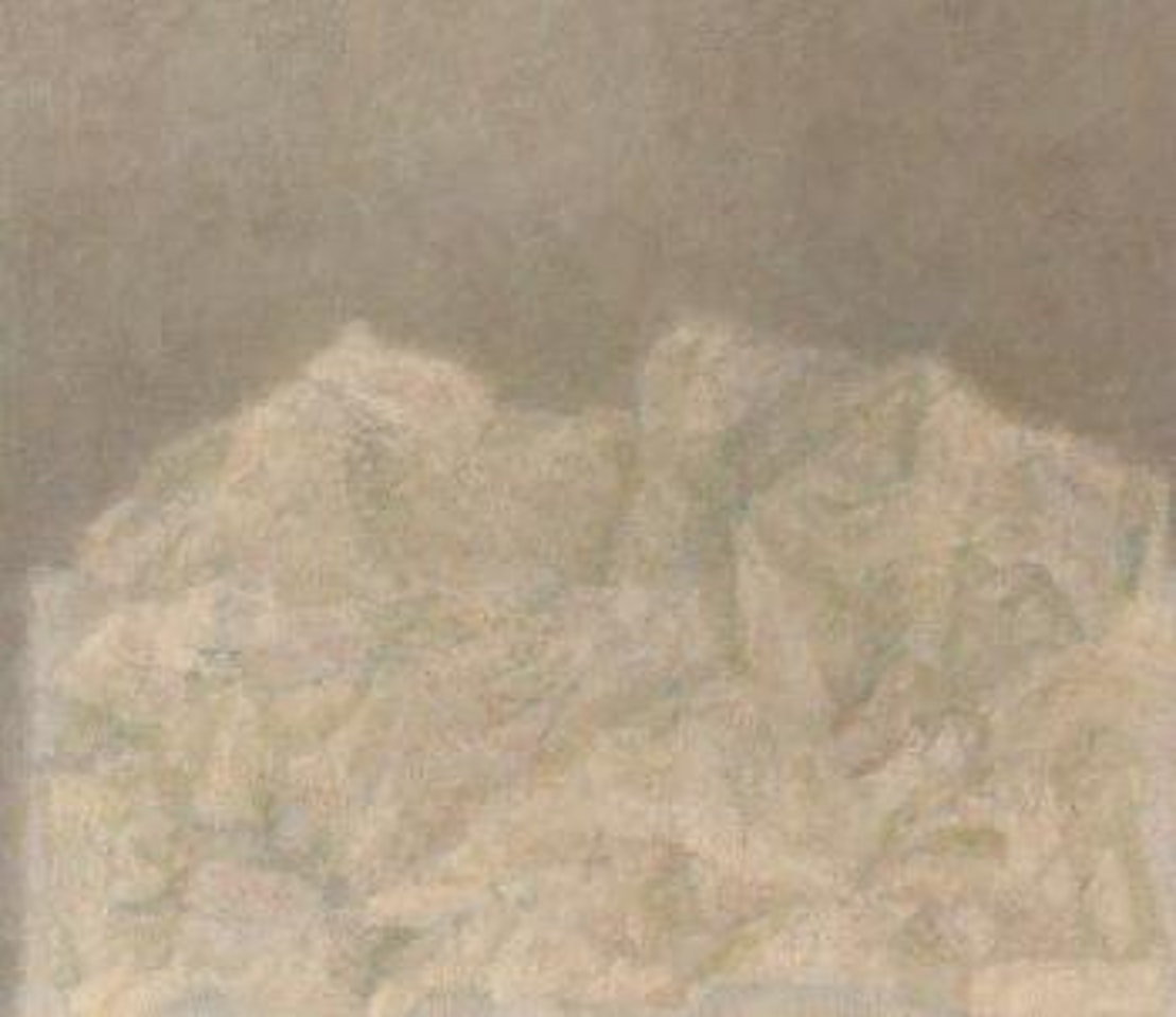 Composition with Gauze by Vladimir Weisberg
