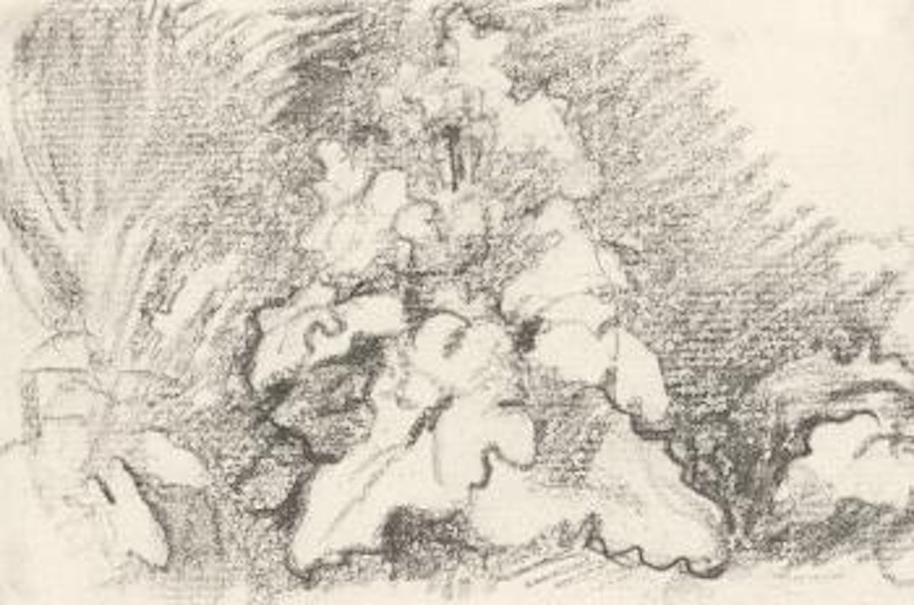 A Study of Burdock Leaves by John Constable