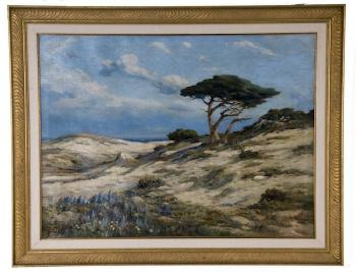 Cypress and sand dunes, CA by Angel Espoy