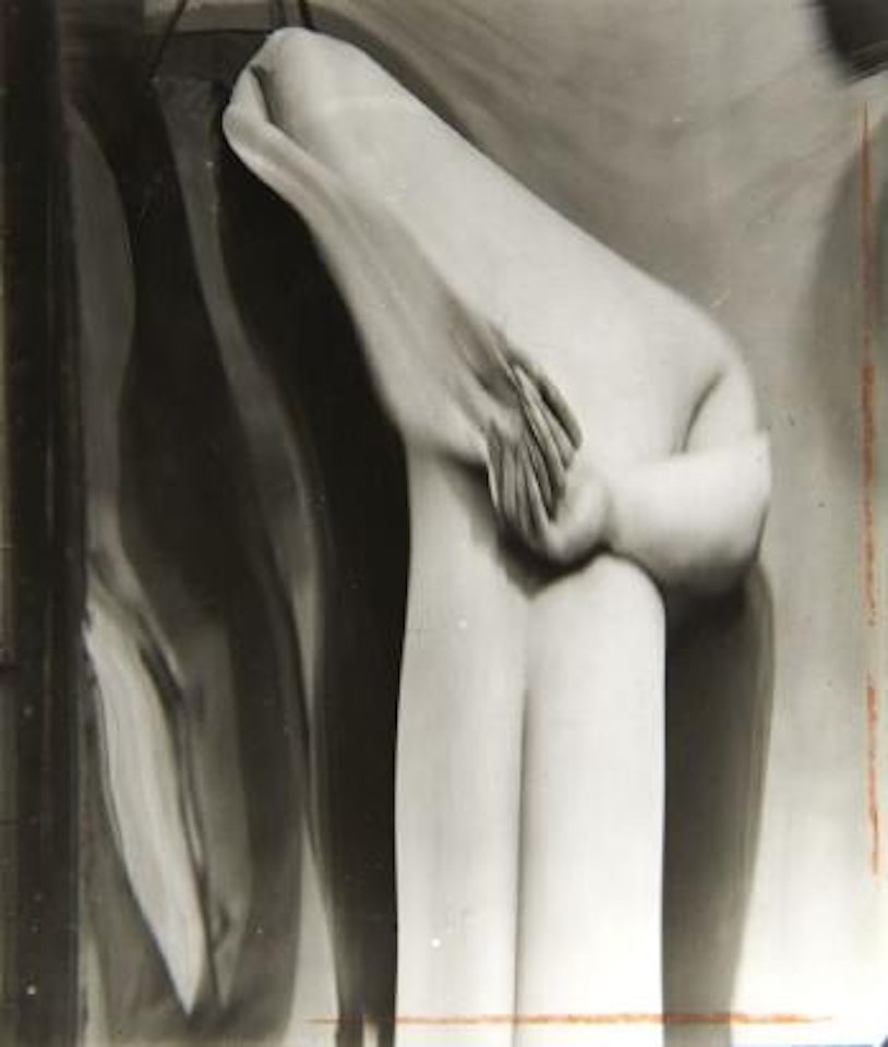 Distorsions by André Kertész