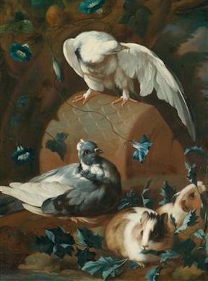 An animal still life with guinea pigs and doves by Franz Werner von Tamm