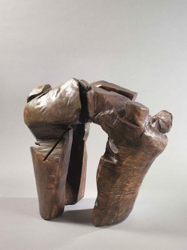 Taichi Series by Ju Ming