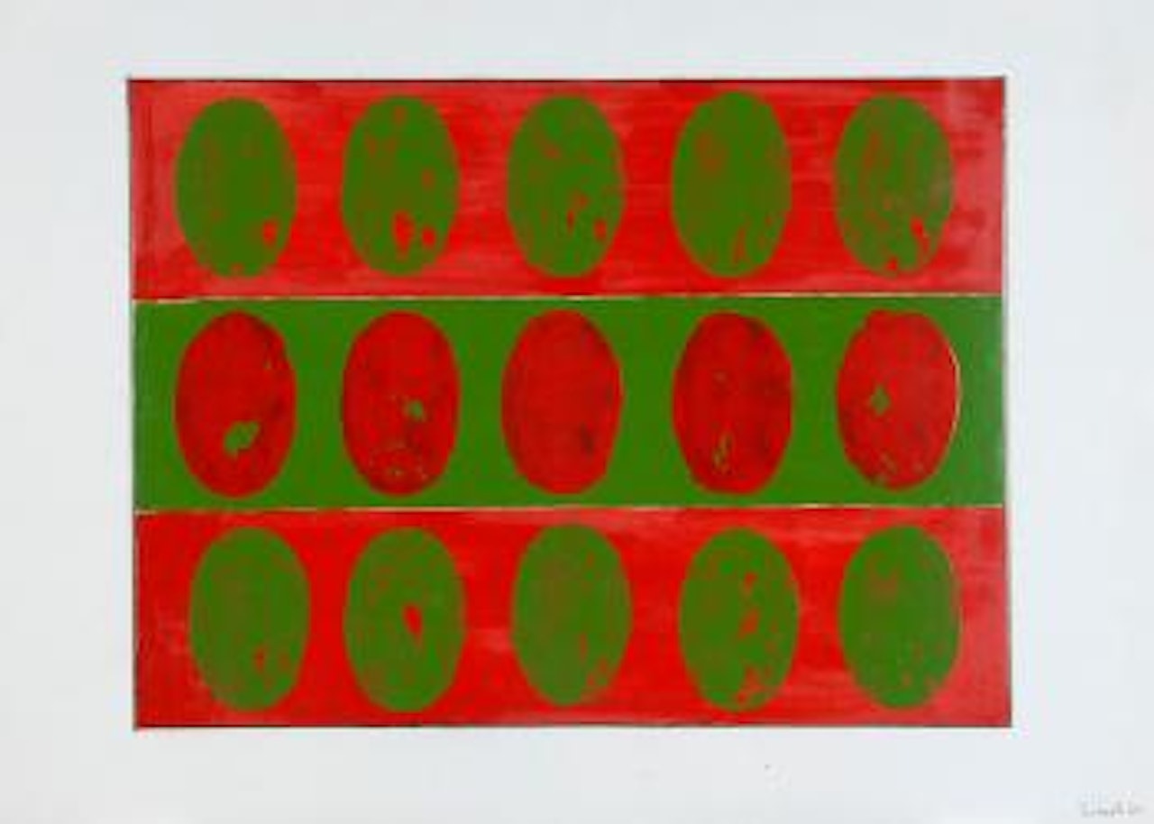 Bandiera verde rossa by Turi Simeti