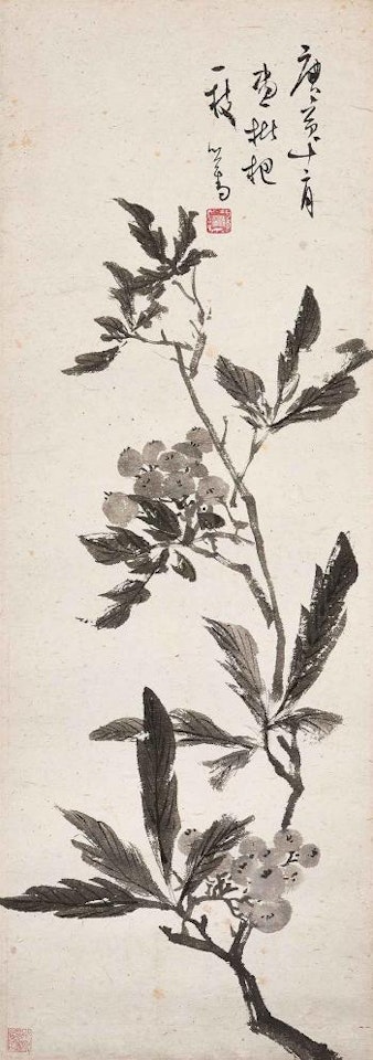 Loquats by Pu Ru
