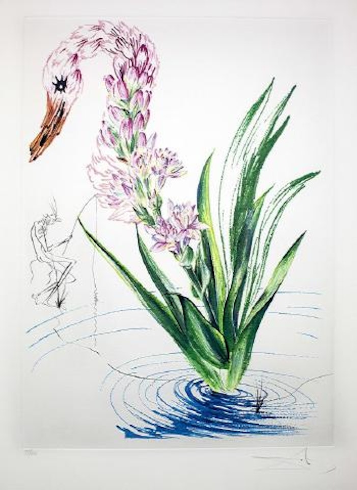 Water Hibiscus Swan by Salvador Dali