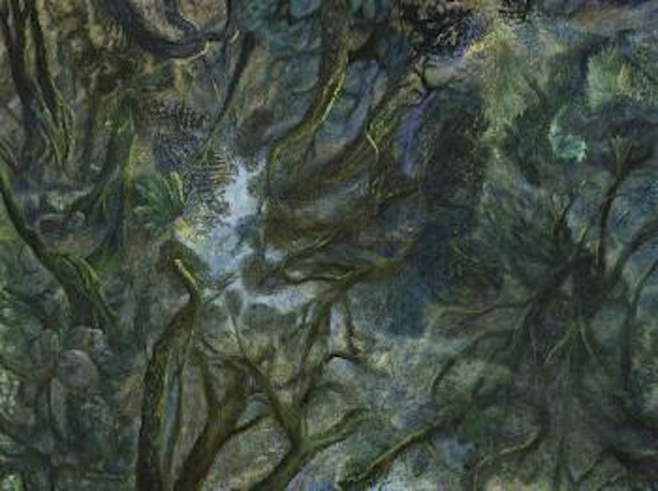 Rainforest with filtering sunlight by William Francis Robinson