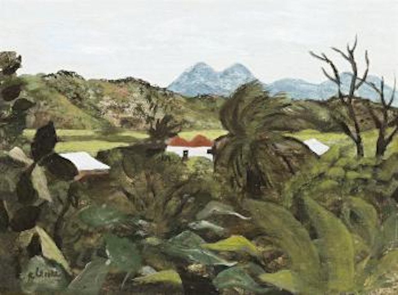 Tropical landscape, Cairns by Ray Austin Crooke