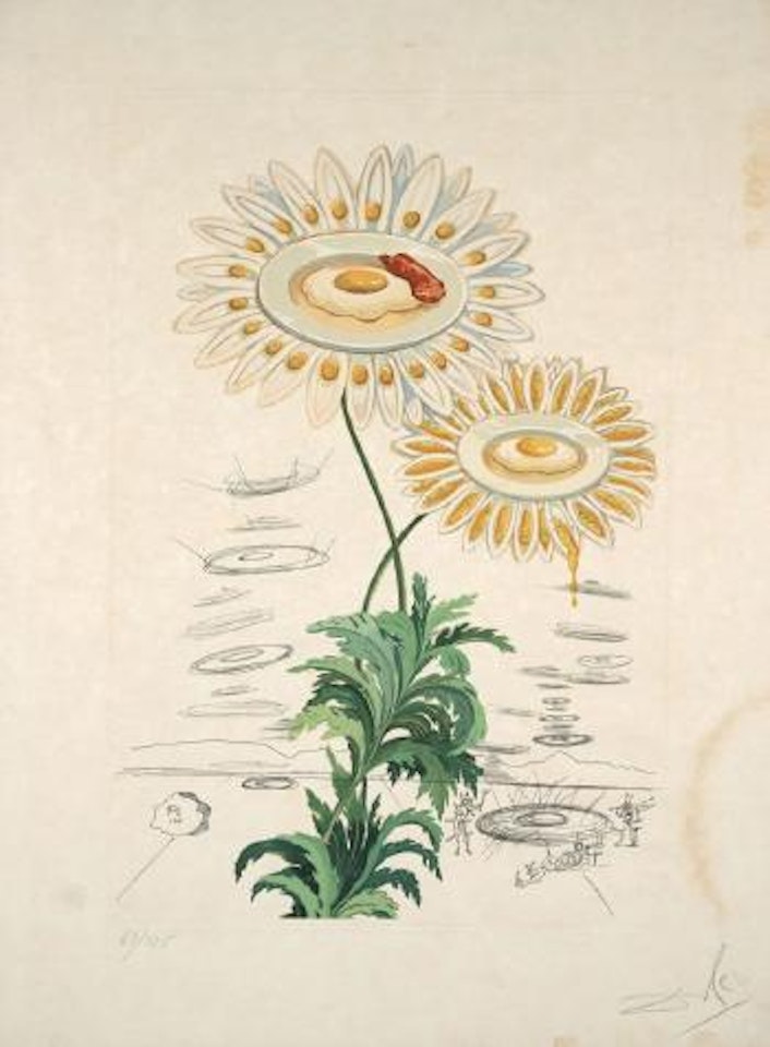 Flordali (flora dalinea) - marguerite by Salvador Dali