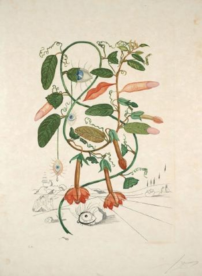 Flordali (flora dalinea) - cobea by Salvador Dali