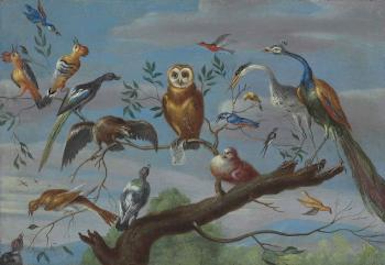 A Concert of birds: an Owl, Pigeon, Canary, Peacock and other birds on a tree branch by Jan Van Kessel The Elder