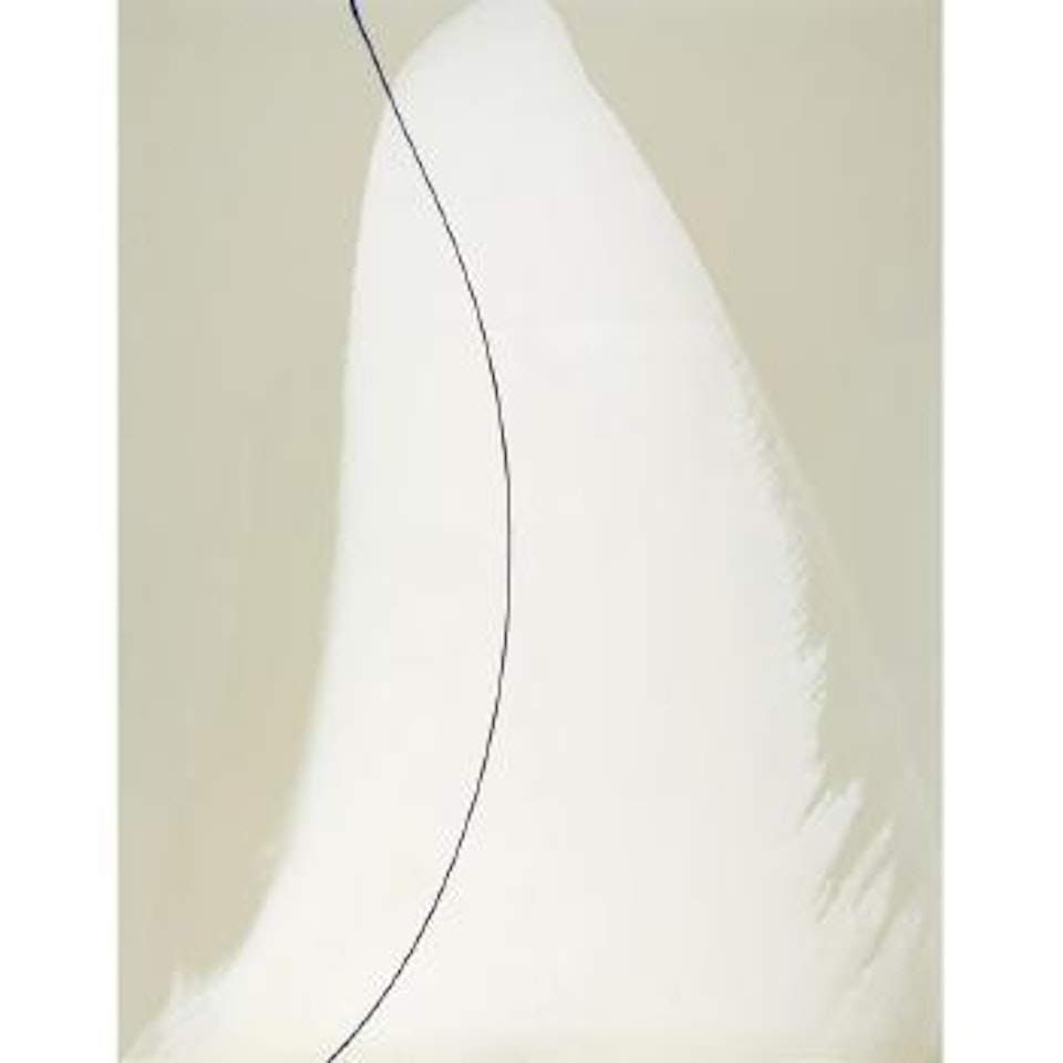 Phenomena The White of Blue by Paul Jenkins