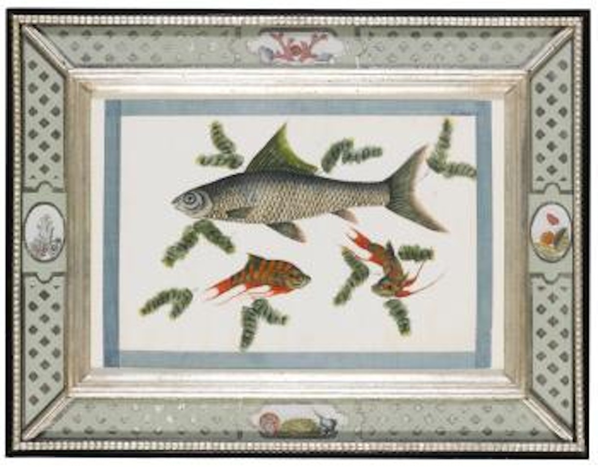 Twelve Chinese Export Paintings of Fish by Chinese School