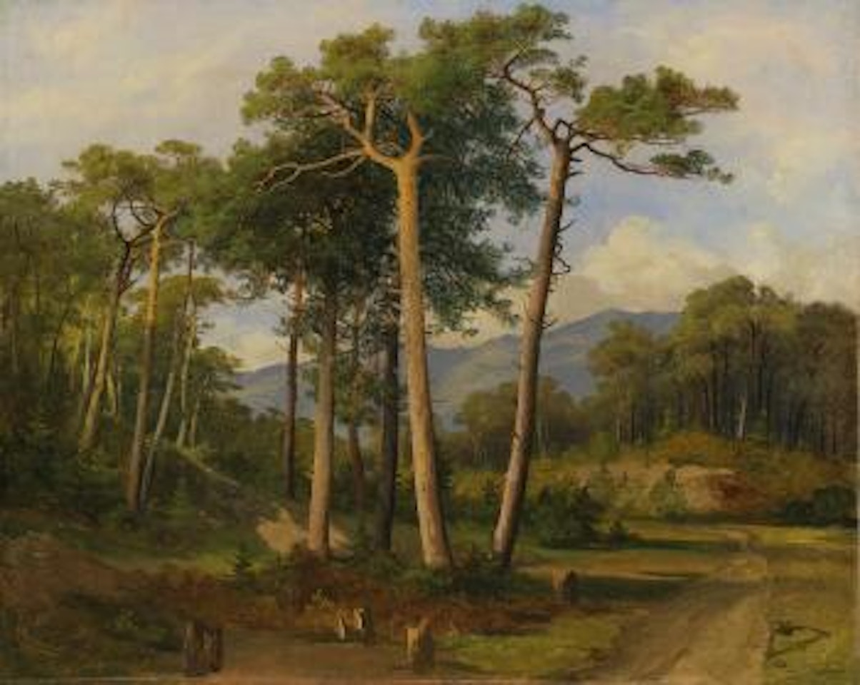 Pins Dans La Forêt De Finges by Alexandre Calame