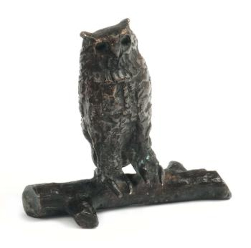 Hibou sur branche by Diego Giacometti