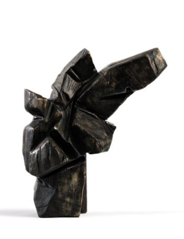 Taichi Series by Ju Ming