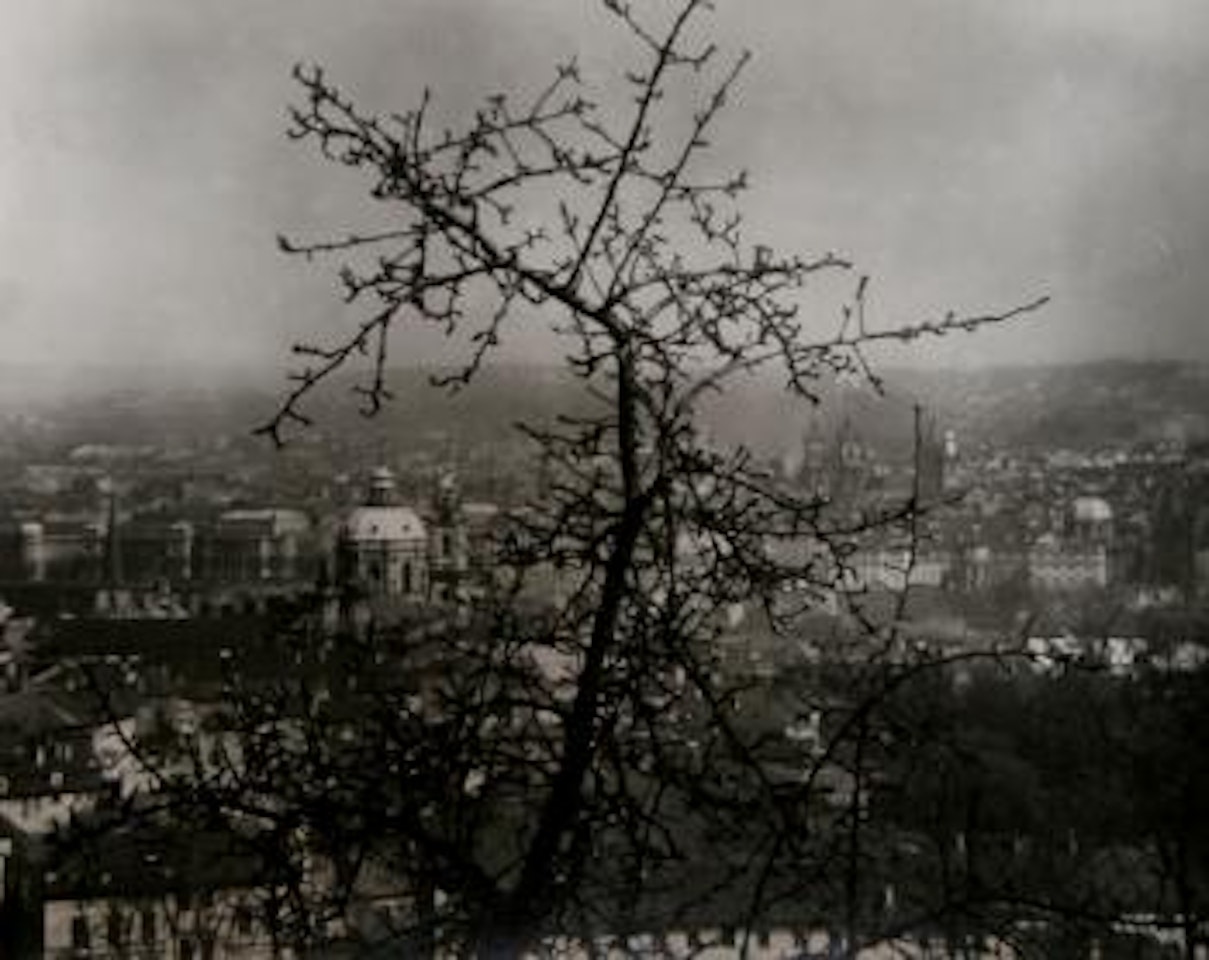 The Advent of Spring in Prague by Josef Sudek