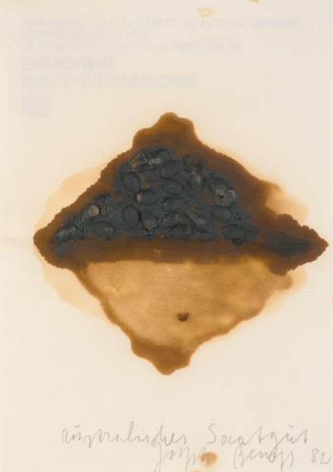 Australian Seeds by Joseph Beuys