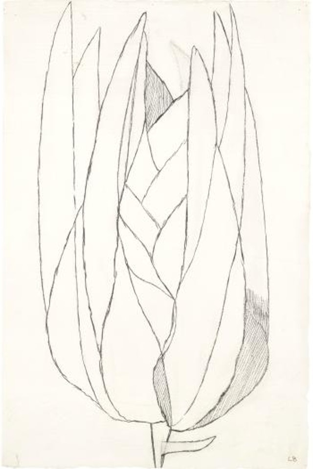 Untitled by Louise Bourgeois