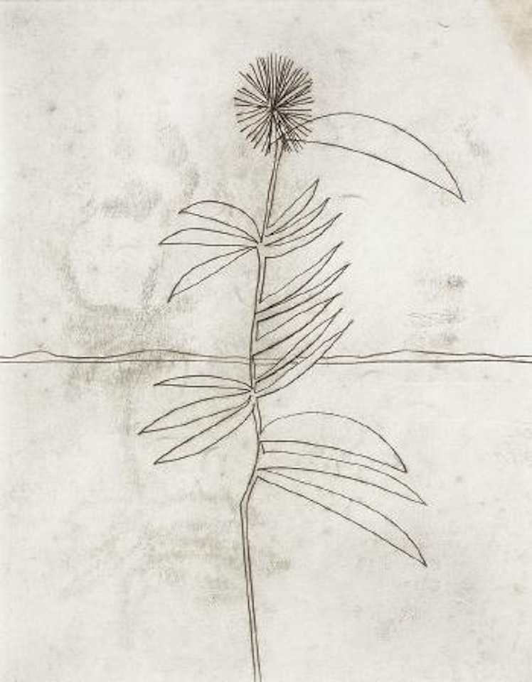 Desert plant by Sidney Nolan