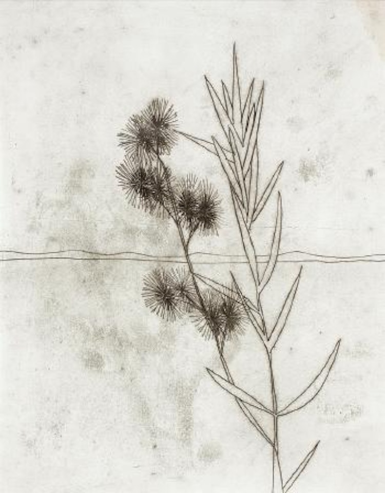 Desert platn by Sidney Nolan