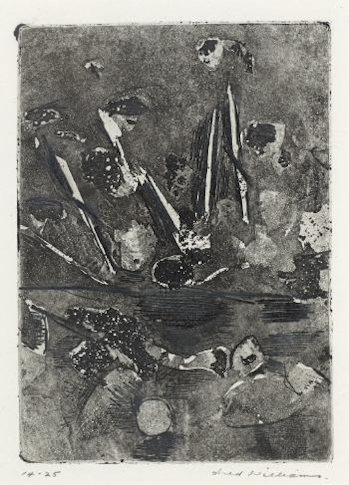 Knoll in the You Yangs by Frederick Ronald Williams