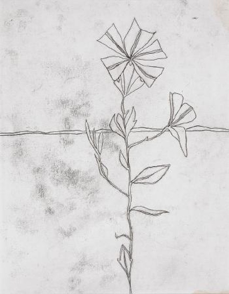 Desert plant by Sidney Nolan